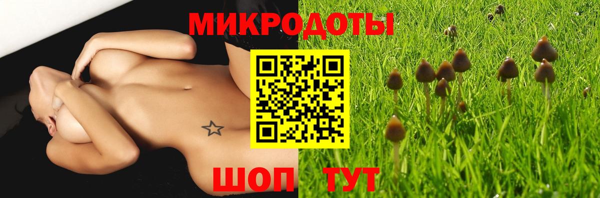 Рассказово  Псилоцибиновые грибы Magic Shrooms  Вход с VPN 